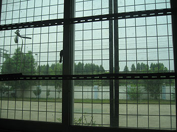 All factory windows have metal bars
